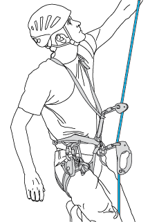 
                                Installation on one single rope with two ascenders
                            